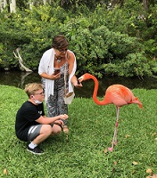 S -Floryda - Flamingi