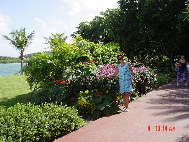 10-tropikalne_kwiaty_w_hotelowym_parku.jpg