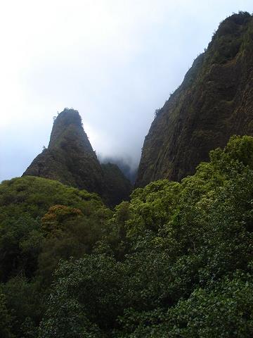 22-gora_-2250_ft-_kuka_emoku_w_dolinie_ioa-_maui_island.jpg
