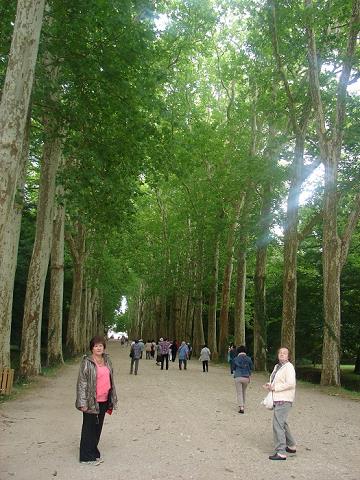 33-aleja_przed_zamkiem_chenonceau_w_chenonceaux_-_francja.jpg