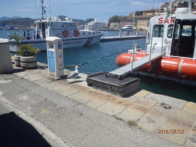 44-lodka_strazy_przybrzeznej_w_portoferraio_-_2016.jpg