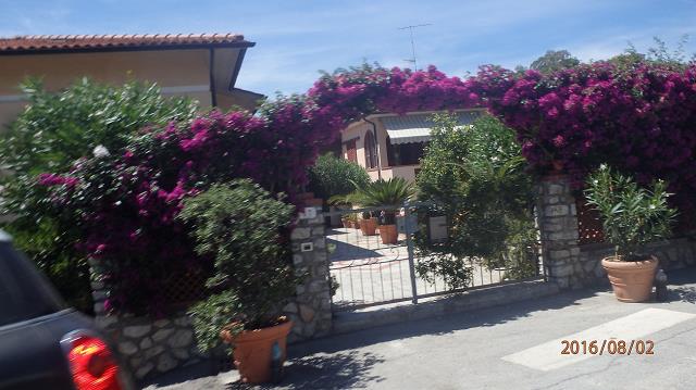 54-piekne_kwiaty_nad_brama_w_portoferraio_-_elba.jpg