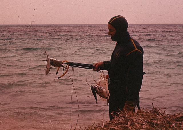 36-porgies_jozka_-_morze_srodziemne_-_libia_1979.jpg