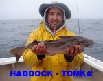 07-Tomek i jego Haddock