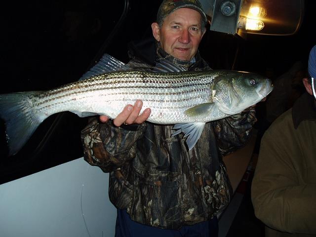 14-30_inch-_moj_pierwszy__striped_bass_na_tym_rejsie-10-23-2004.jpg