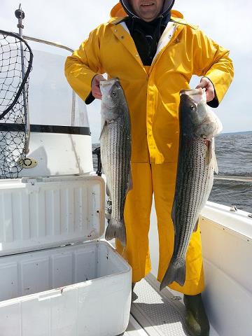 38-dwa_striped_bass_konrada_-_4-20-2013.jpg