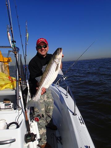 43-piekny_striped_bass_tadeusza-5-4-2013.jpg