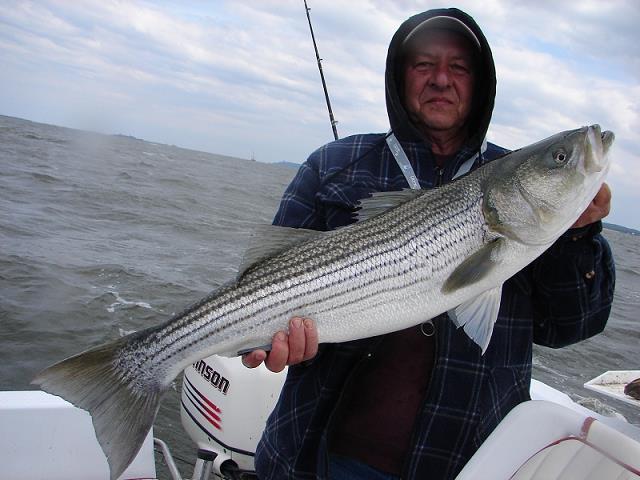 47-wojtek_i_jego_striped_bass-5-13-2013.jpg