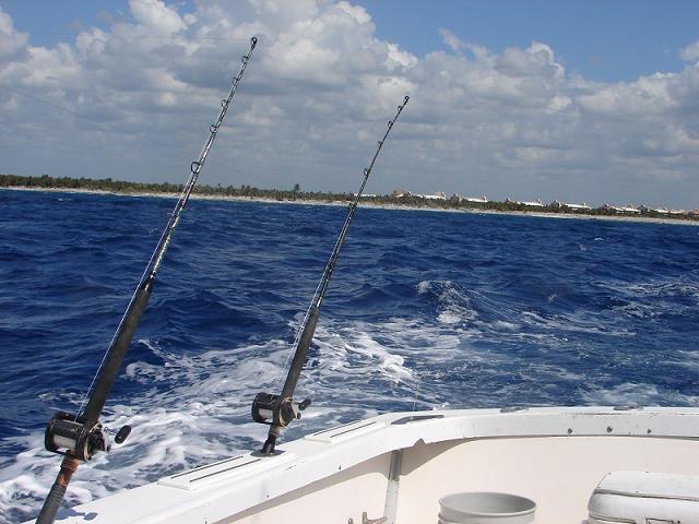10-w_oczekiwaniu_na_rybke-morze_karaibskie-_meksyk_2011.jpg