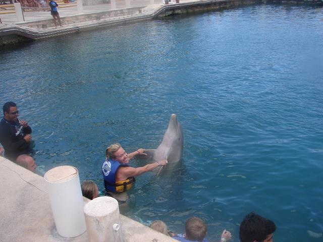 20-delfinarium_w_puerto_aventuras-meksyk-riviera_maya-2011.jpg