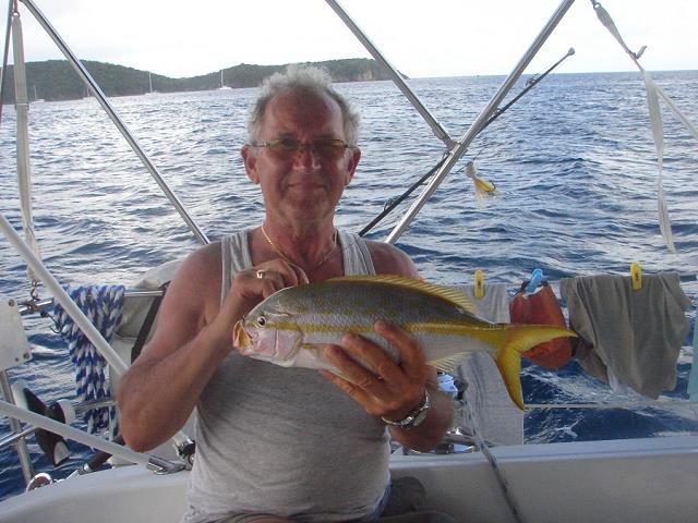 144-jozka_yellowtail_snapper_-_kolo_st_thomas-karaiby.jpg