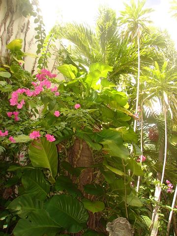 150-flora_wyspy_st_thomas__-morze_karaibskie.jpg