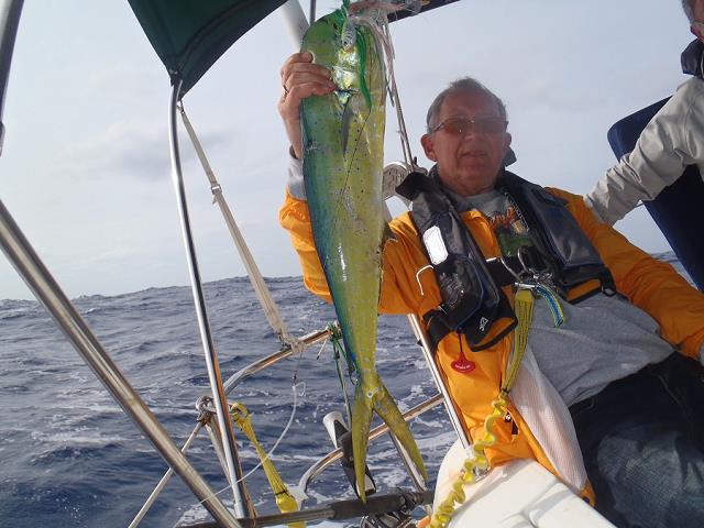 63-pierwsza_mahi-mahi_jozka.jpg