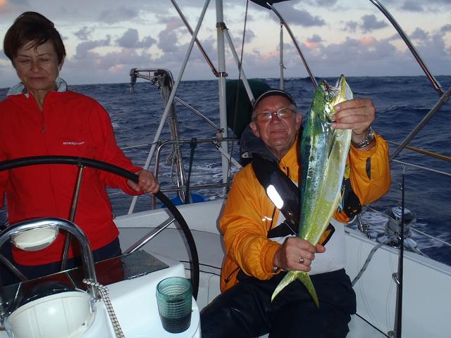 70-druga_mahi-mahi_-_27_inch_-_69_cm.jpg