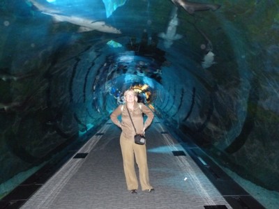 03-Dubaj - tunel w Moll Aquarium