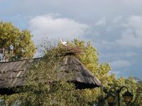 97 - S -Bocianie Gniazdo 