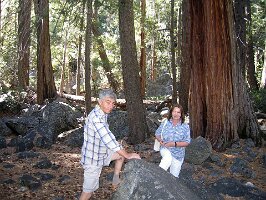 09-Ela i Stefan na tle sekwoi
