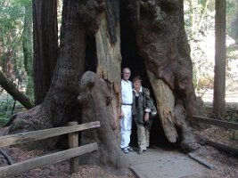 26-Ewa i Ziutek we wnetrzu starej sekwoi w Muir Woods National Monument.