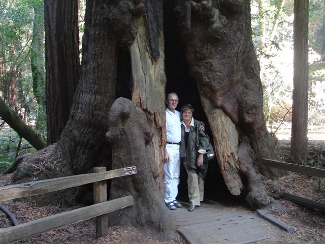 12-Ewa i Ziutek we wnetrzu starej sekwoi